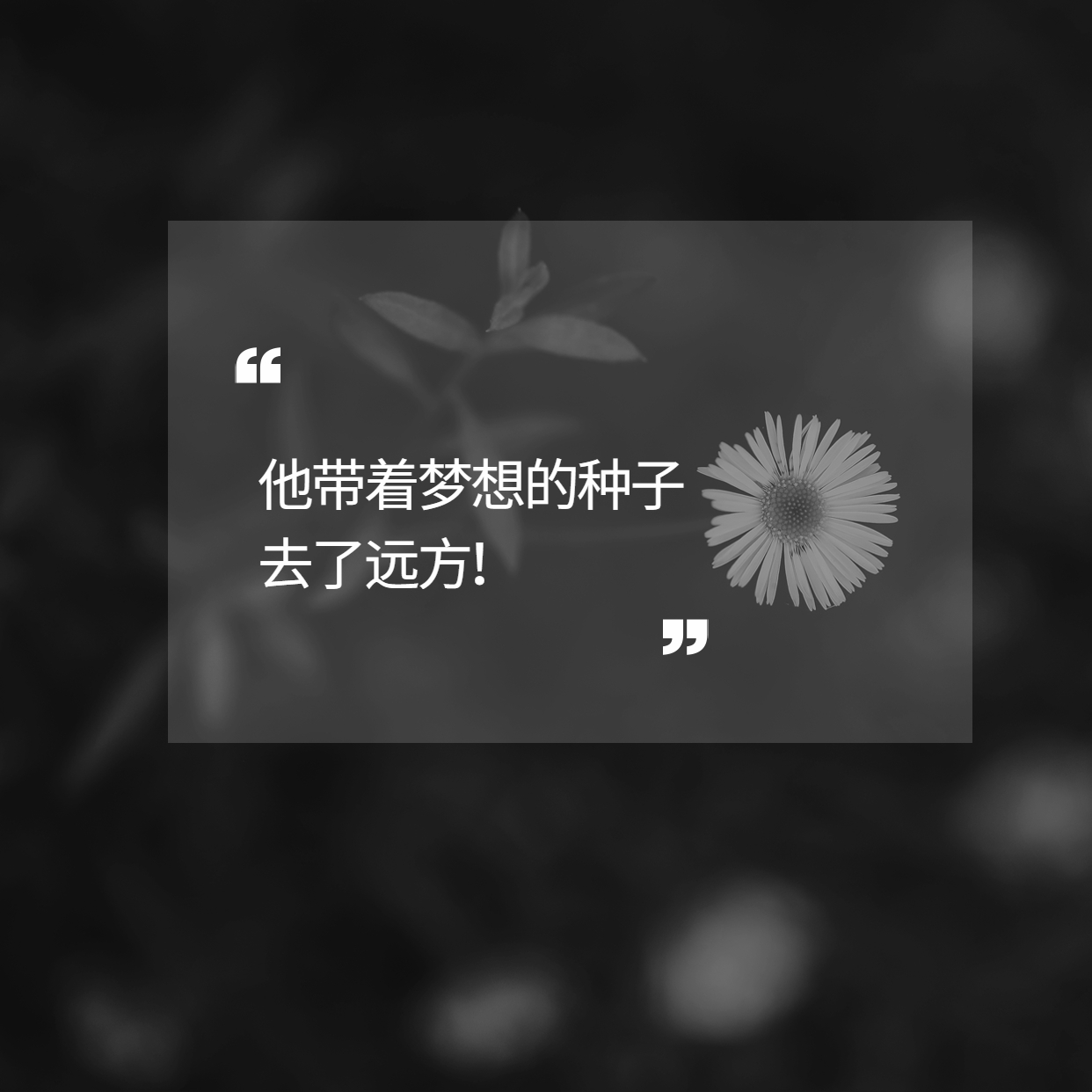 袁隆平用一粒種子的力量改變了世界！