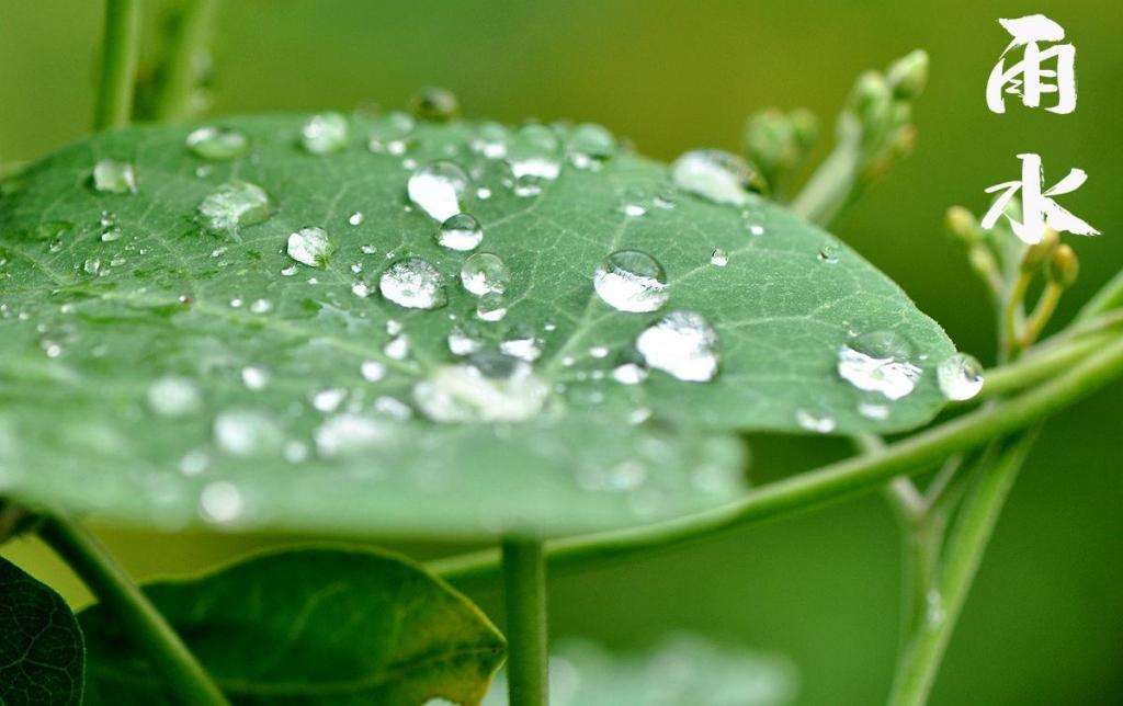 雨水潤(rùn)萬(wàn)物，兼顧沙與泥！