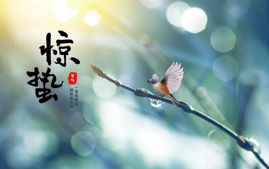 驚蟄！